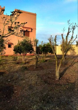 ferme-a-vendre-a-17-kms-del-jadida-big-0