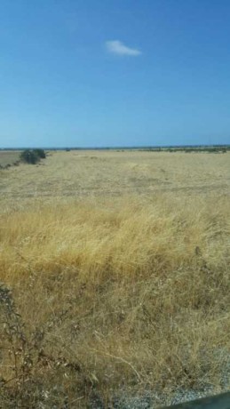 terrain-agricole-a-vendre-a-bouznika-big-0