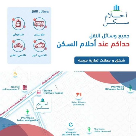 shk-llbyaa-bromyan-atag-fy-ahlam-skn-mshmsh-nhar-kam-big-0