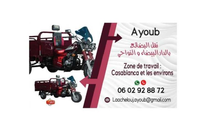 triporteur-course-de-confiance-big-0