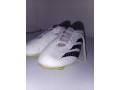godas-adidas-predator-small-0