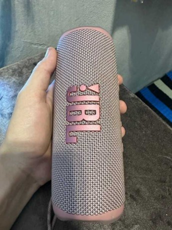 jbl-flip-6-big-0