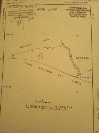 terrain-commercial-titre-a-vendre-big-0