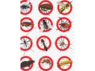 🌿 Traitement Phyto &amp; Protection des Espaces Verts