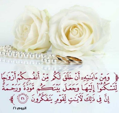 altybon-altybat-big-0