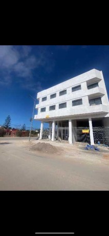 local-commercial-a-ansari-big-0