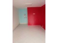 magasin-amenage-a-palmier-30m2-small-0