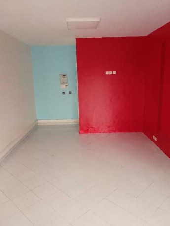 magasin-amenage-a-palmier-30m2-big-0