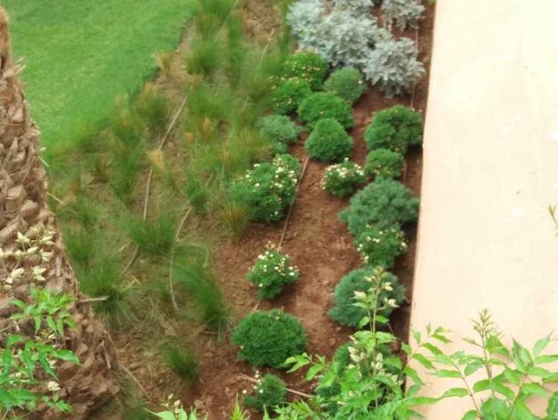 jardinier-gardien-big-0