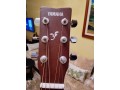 guitare-folk-small-0
