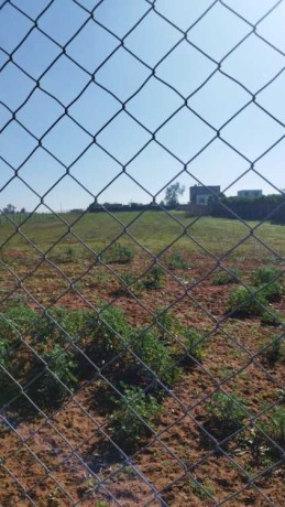 terrain-agricole-big-0