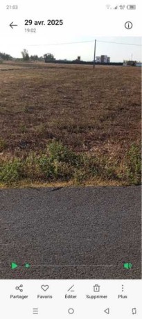 ard-llbyaa-msgl-mhfth-big-0