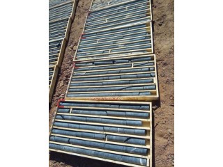 Gabss brut en plaques