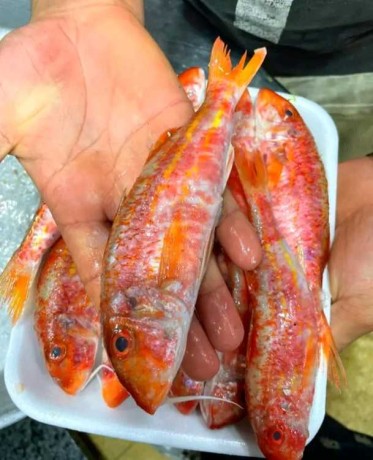 fast-food-de-place-marechal-big-0