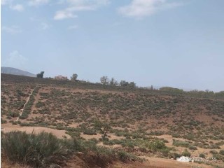 Terrain pour projet d’hotel