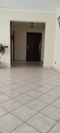 appartement-a-palmier-big-0