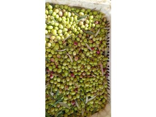 PROMOTION Huile d’olive EV 2023-2024