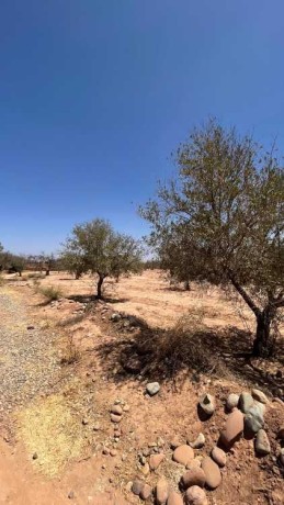 terrain-de-3-900-m-titre-km-30-rte-abdellah-riyyat-big-0