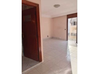 Appartement a louer Bélvédere