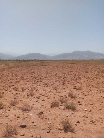 ard-mhfth-llbyaa-big-0