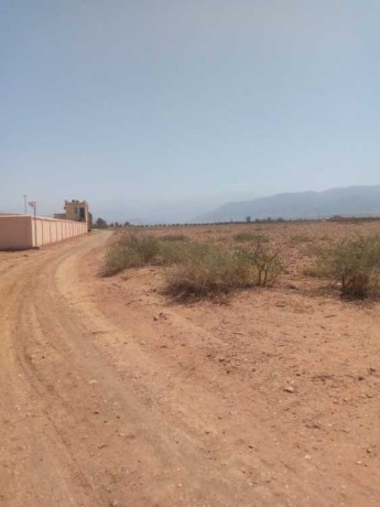 arad-flahy-llbyaa-big-0