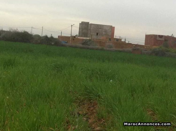 terrain-14965-m2-big-0