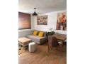 joli-appart-studio-bien-meuble-place-les-iris-small-0