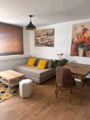 joli-appart-studio-bien-meuble-place-les-iris-big-0