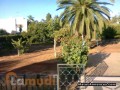 villa-de-2566-m-a-route-dimouzzer-small-0