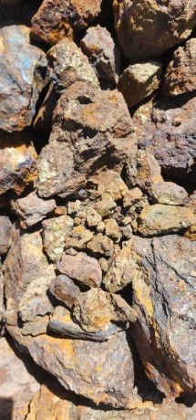 alastthmar-fy-almoard-altbyaay-almaadny-big-0