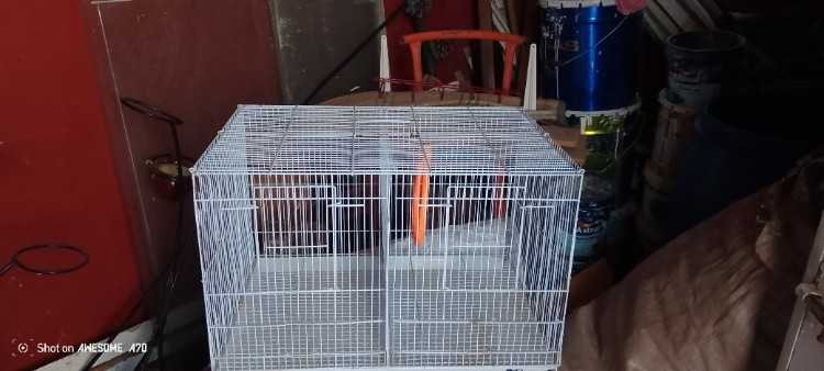 kfoza-dyal-alfrakh-big-0