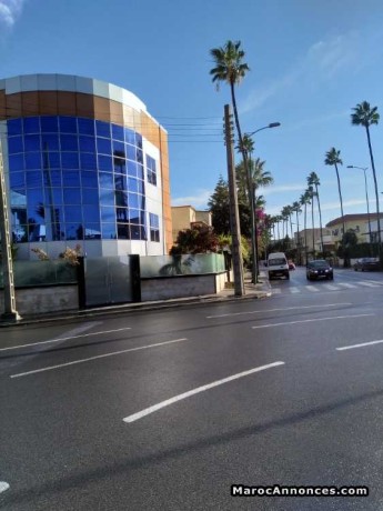 plateaux-a-casablanca-big-0