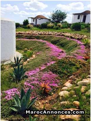 eco-lodge-a-vendre-region-del-jadida-big-0