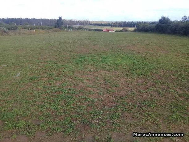 terrain-15-hectare-big-0