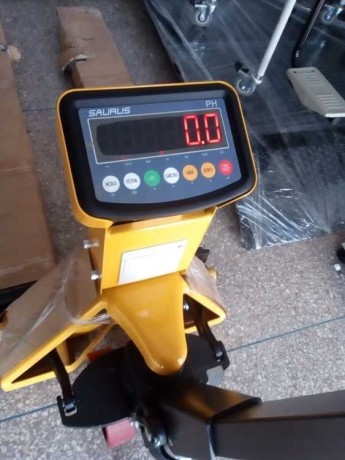 transpalette-peseur-tronsbalyt-balmyzan-big-0