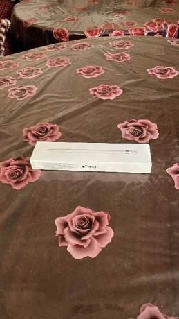 apple-pencil-1st-gen-big-0