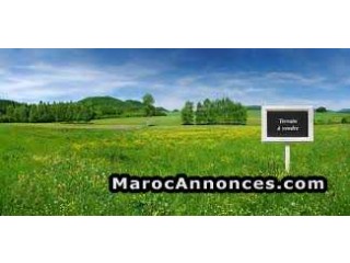 Terrain R + 2 à Aya près de Najd 2