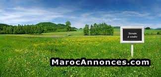 terrain-r-2-a-aya-pres-de-najd-2-big-0