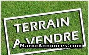 terrain-r4-de-303-m2-a-2-facades-a-hay-al-matar-big-0