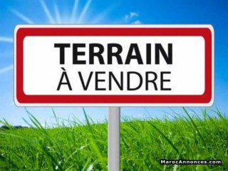 Terrain En Zone Immeuble A TANTONVILLE