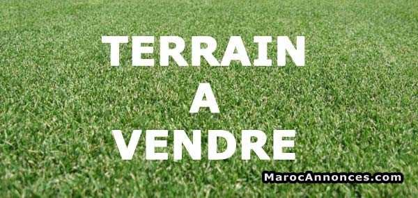 terrain-en-zone-immeuble-a-riviera-big-0