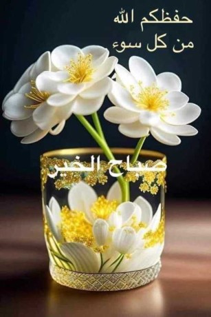 albht-aan-alnsf-althany-big-0