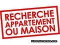 cherche-un-appartement-de-2-chambres-small-0