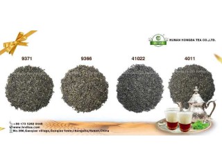 Thé Vert 41022 même qualité Dahmiss