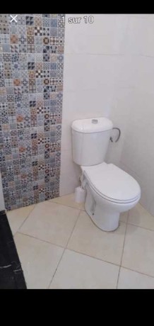 shk-mghz-llkraaa-alyomy-ao-alshhry-big-0