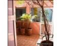 appartement-usage-bureau-ou-habitation-147-small-0