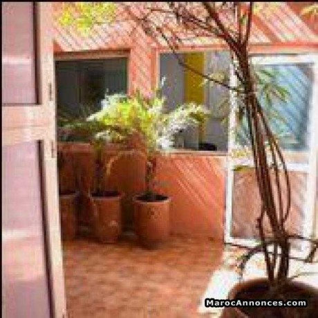appartement-usage-bureau-ou-habitation-147-big-0