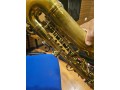 saxophone-alto-bec-pochette-small-0