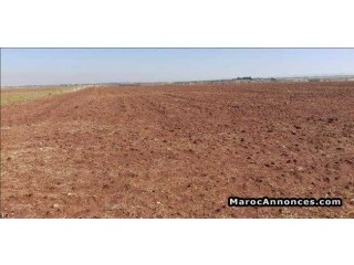 Terrain de 1 hectar a Meknes rout sabt
