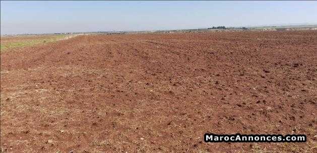 terrain-de-1-hectar-a-meknes-rout-sabt-big-0